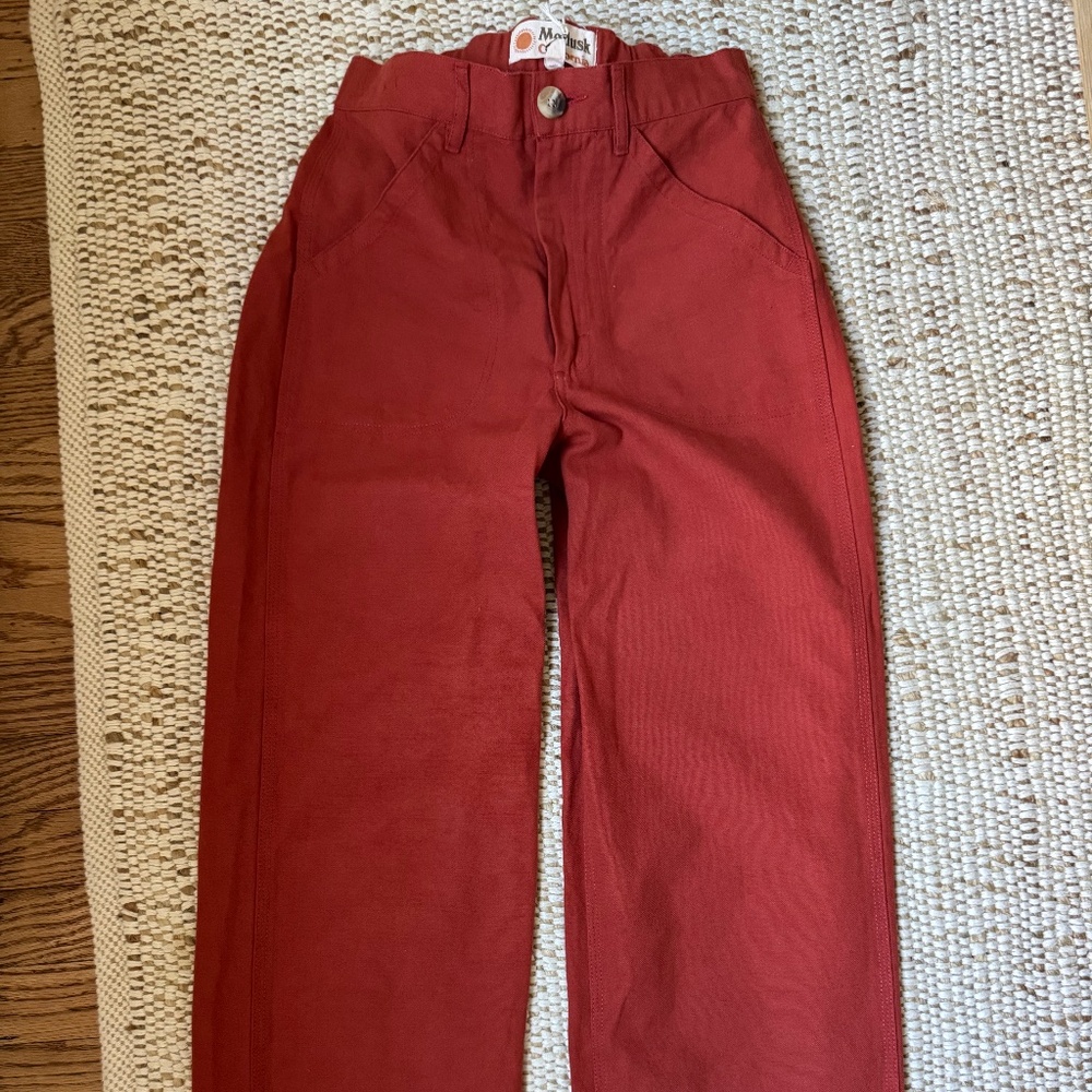 Mollusk Painter Pants - Terracotta Size S